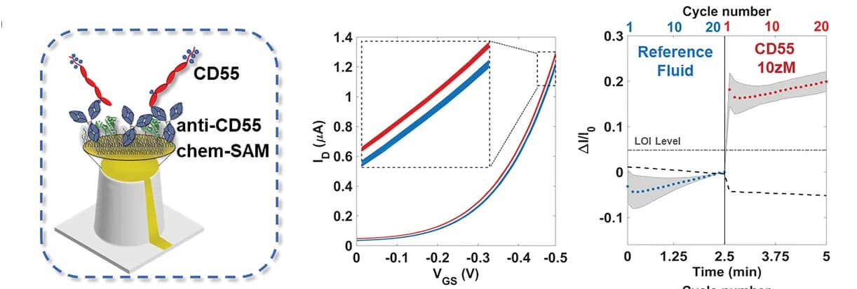 Open access visualization of Line Plot, Error Bars, SiMBiT sensing, MUC1, CD55