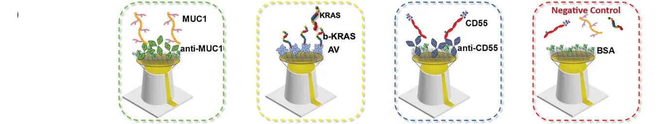 Open access visualization of Illustration, Chem-SAM, MUC1, KRASmut, CD55