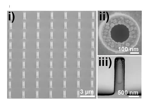Open access visualization of Microscopy, SEM images, Au-coated NTs
