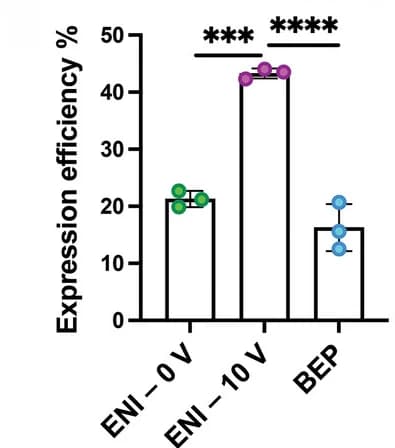 Open access visualization of Bar Plot, Error Bars, Gene Expression, T Cells, CAR Construct