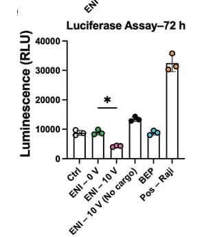 Open access visualization of Bar Plot, Error Bars, Luciferase Assay, Luminescence, ANOVA