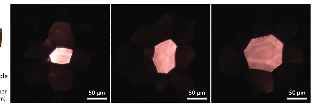 Open access visualization of Microscopy, Transmitted Light, Prisms