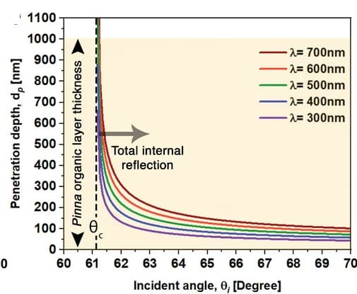 Open access visualization of Line Plot, Penetration Depth, Evanescent Wave, Wavelengths, Prisms