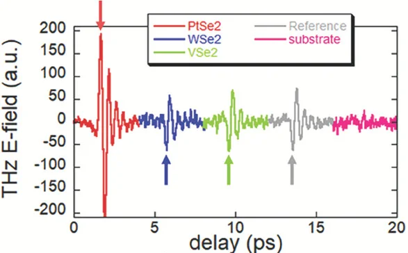 Open access visualization of Line Plot, THz E-field, CoFeB, PtSe2, WSe2