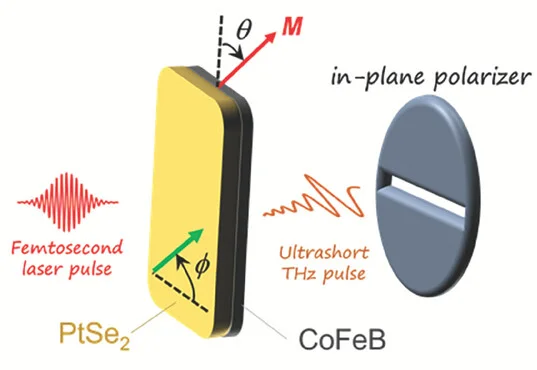 Open access visualization of Workflow, Illustration, THz Emission, Polarizer, Magnetic Field