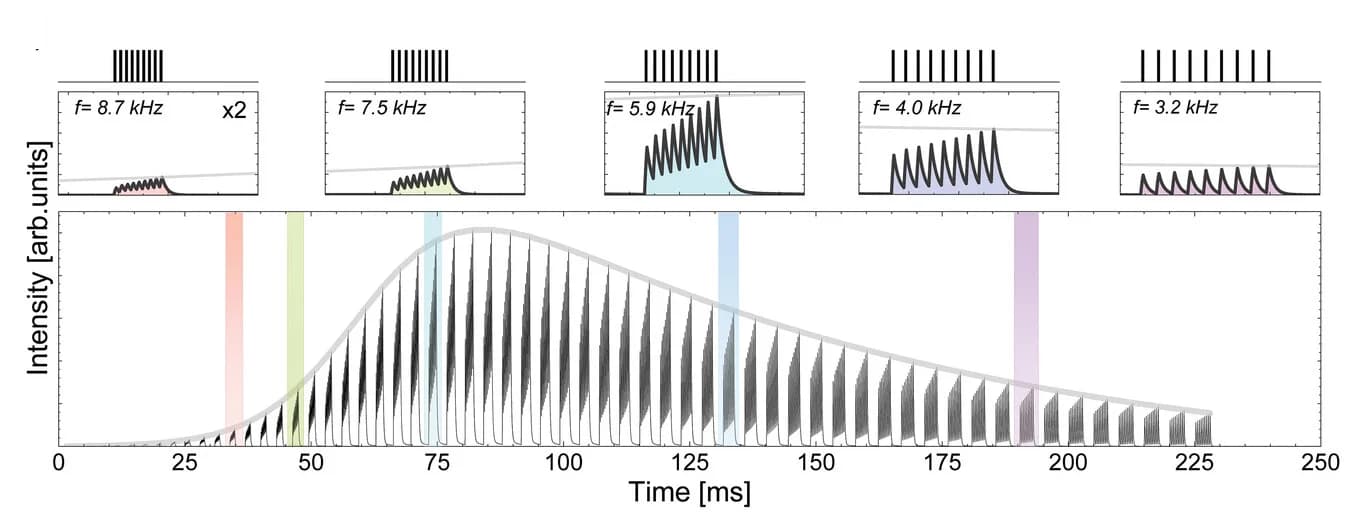 Open access visualization of Line Plot, Line Step, PA Emission Intensity Kinetics, Excitation Pulses, Pump Power