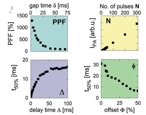 Open access visualization of Line Plot, Line Step, PPF index, Gap, PA intensity