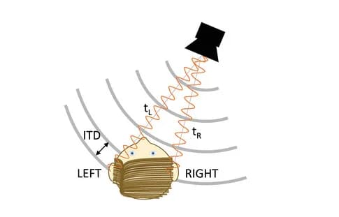 Open access visualization of Illustration, Optical Short-Term Potentiation, Photonic Memory, PA Phenomenon, Sound Localization