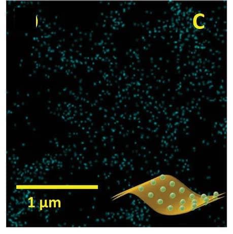 Open access visualization of Microscopy, Illustration, EDS, CH3Ge, Flakes