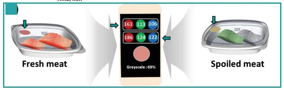Open access visualization of Illustration, Workflow, CH3Ge paper, Fish Spoilage, Smartphone