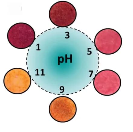 Open access visualization of Illustration, pH, Color Change, CH3Ge Paper, Smartphone Camera