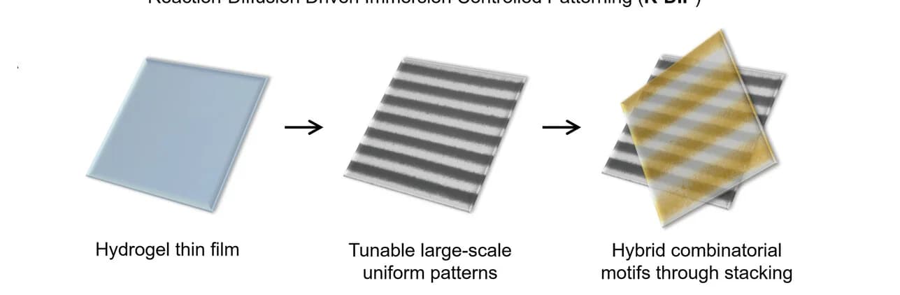 Open access visualization of Workflow, Hydrogel Thin Film, Reaction-Diffusion, Stripe Patterns