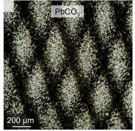 Open access visualization of Microscopy, Lead Carbonate, Thin Films, Superimposing, Diamond Motif