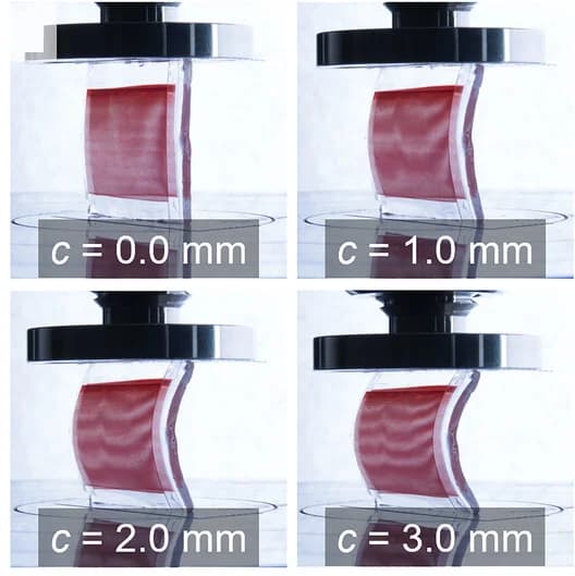 Open access visualization of Photo, Optomechanical sensor, Stripe patterns, Moire patterns