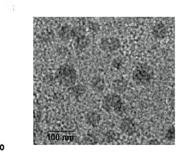 Open access visualization of Microscopy, Transmission Electronic Microscopy, TEM, Nanoparticles, N/P Ratio