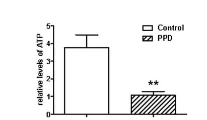 Open access visualization of Bar Plot, Error Bars, Clustered, Glucose Uptake, ATP Generation