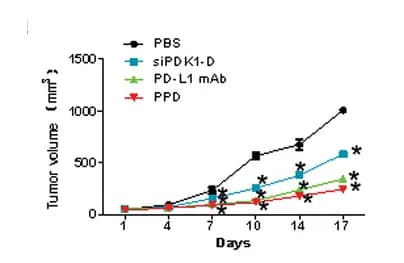 Open access visualization of Line Plot, Error Bars, Tumor Volume