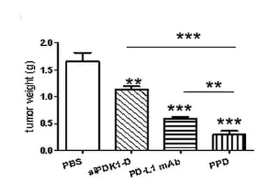 Open access visualization of Bar Plot, Error Bars, Tumor Weight