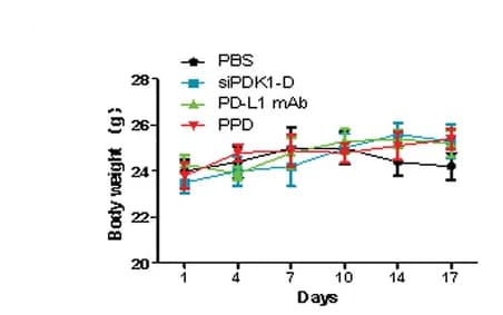 Open access visualization of Line Plot, Error Bars, Mouse Body Weight
