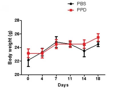 Open access visualization of Line Plot, Error Bars, Mouse Body Weight, PBS Group, Treatment Groups