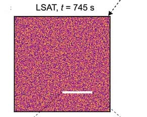 Open access visualization of Heatmap, Real Space Simulation, Phase Fluctuations, LSAT Substrate, Domains