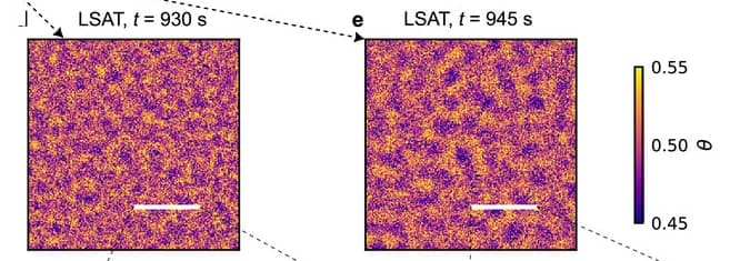 Open access visualization of Heatmap, Real Space Simulation, Phase Fluctuations, LSAT Substrate, Domains