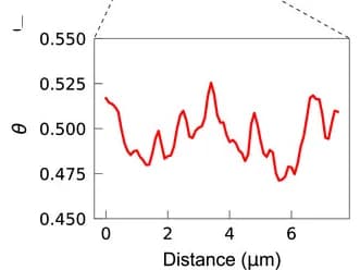 Open access visualization of Line Plot, Ion Concentration, Vacancy Domains, Correlation Length