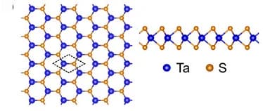 Open access visualization of Chemical Structure, Schematic Structure, 1H-TaS2