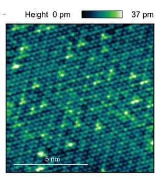 Open access visualization of Microscopy, STM, Disordered 1H-TaS2, HOPG Substrate