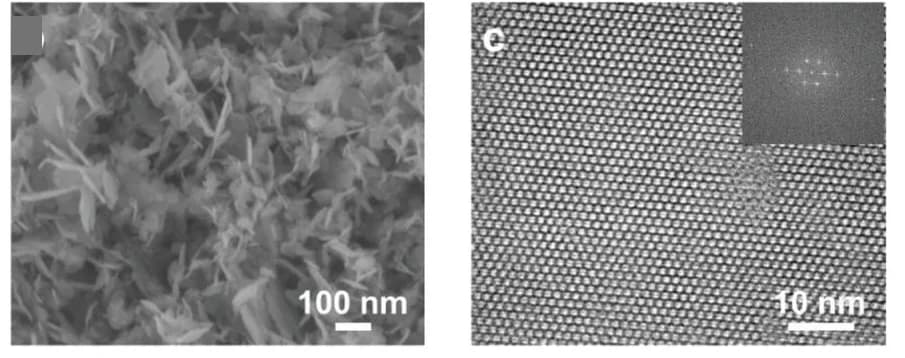 Open access visualization of Microscopy, SEM Image, Cu-HHB