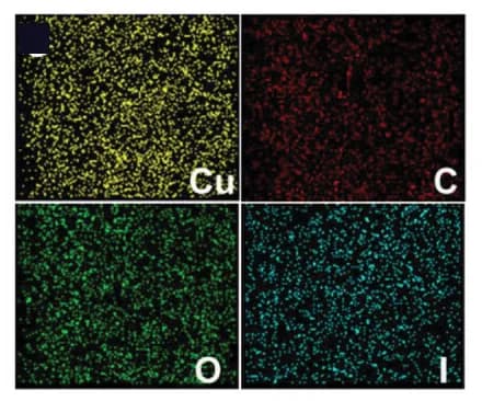 Open access visualization of Microscopy, SEM Image, Cu-HHB/I2, EDX Elemental Mapping Analysis