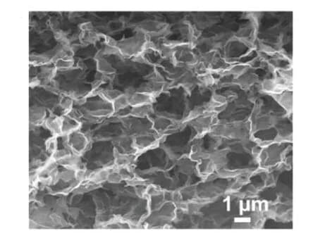 Open access visualization of Microscopy, SEM image