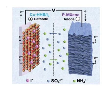 Open access visualization of Illustration, Workflow, Schematic illustration, Cu-HHB/I2//P-MXene NH4+HSCs