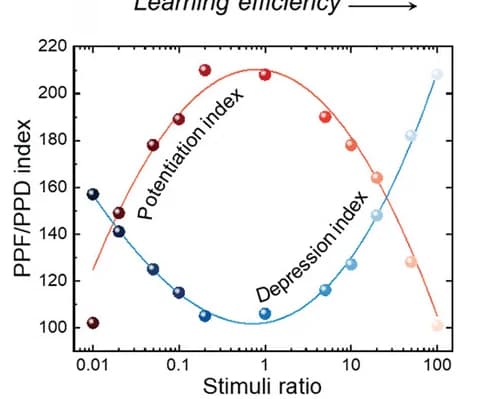 Open access visualization of Scatter Plot, Line Plot, Regression Plot, Presynaptic Potentiation, Depression Pulse