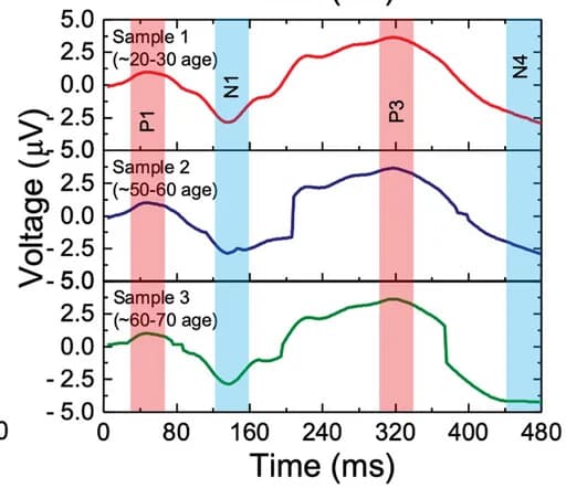 Open access visualization of Line Plot, Reconstructed ERPs, BCI