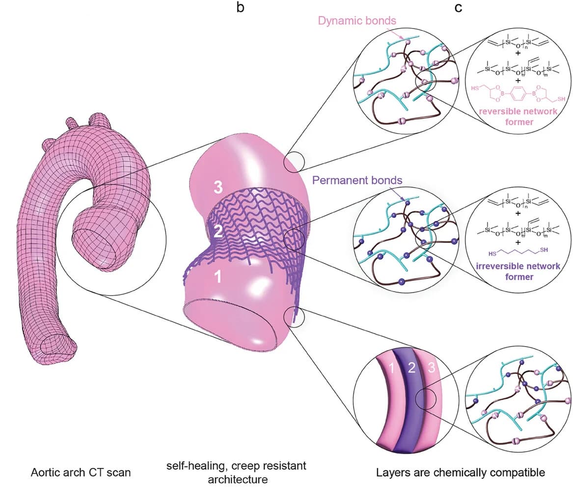 Open access visualization of Illustration, Chemical Structure, Architecture Scale, Creep-Resistant Grid, Self-Healing Layers