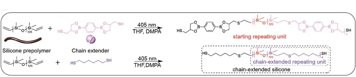 Open access visualization of Chemical Structure, Workflow, Chain Extension Reaction, Thiol-Terminated Prepolymers, Dynamic Prepolymers