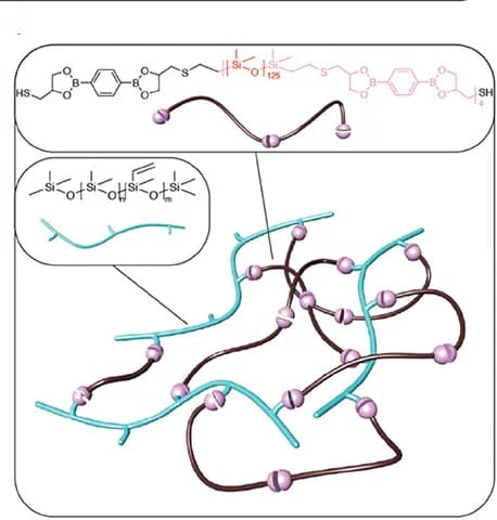 Open access visualization of Chemical Structure, Illustration, Cross-Linking, Silicone Vitrimer Prepolymer, Polyfunctional Vinyl-Modified Silicone