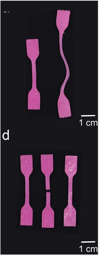 Open access visualization of Photo, Photographs, Printed Dogbone Specimens, Creep, Self-Healing Tests