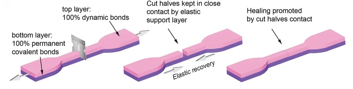 Open access visualization of Illustration, Workflow, Silicone Vitrimer, Silicone Elastomer, Architectured Silicone