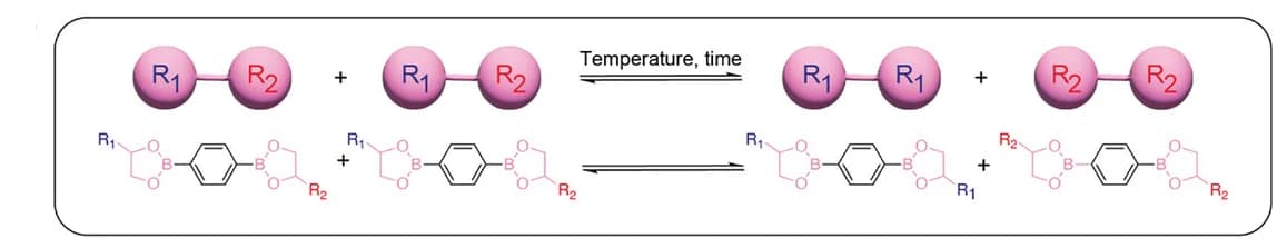 Open access visualization of Chemical Structure, Exchange Reactions, Silicone Vitrimer, Self-Healing