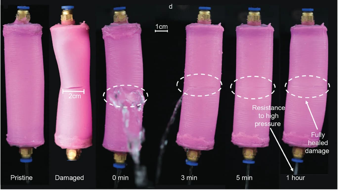 Open access visualization of Photo, Silicone Tubes, Self-Healing, Damage Visualization, Elastic Recovery