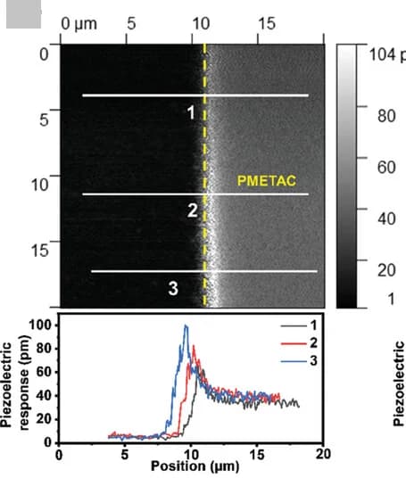 Open access visualization of Line Plot, Microscopy, PMETAC Brush, Piezoresponse Amplitude, PFM