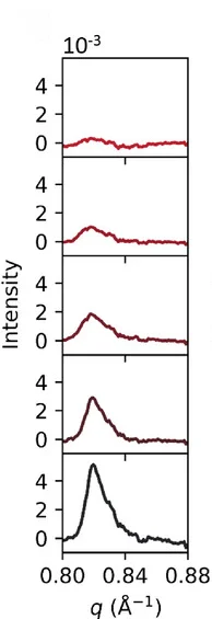 Open access visualization of Line Plot, Density Plot, GIWAXS, Scattering Intensity, Bragg Peaks
