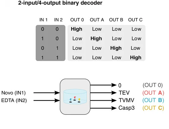 Open access visualization of Table Image, Workflow, Binary Decoder, Input Signals, Output Signals