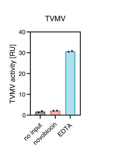 Open access visualization of Bar Plot, Error Bars, TVMV Protease, Novobiocin, EDTA