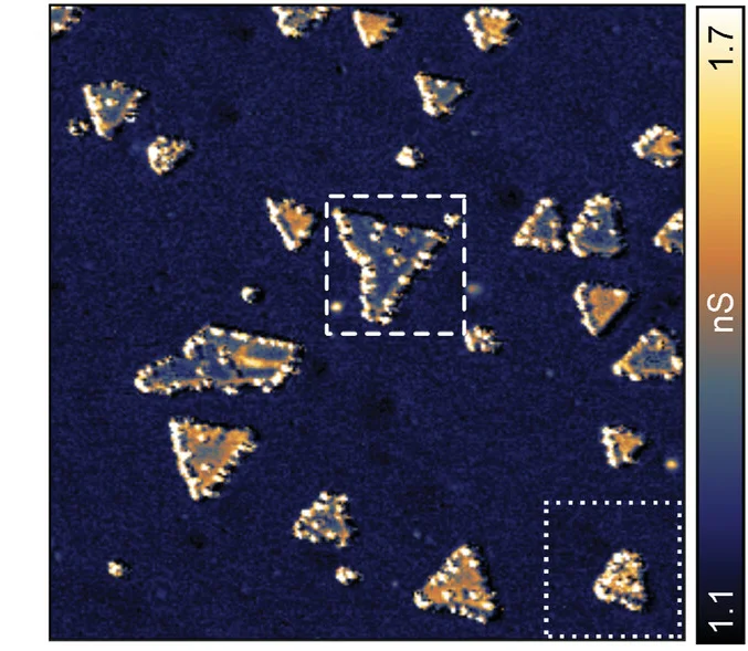 Open access visualization of Microscopy, Differential Conductance, Magnetic Contrast, Cobalt Nanoislands, Magnetization