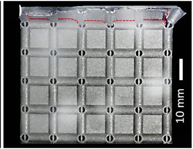 Open access visualization of Photo, TP-HSL Specimens