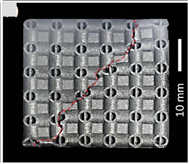 Open access visualization of Photo, TP-HSL Specimens