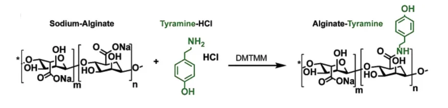 Open access visualization of Chemical Structure, Reaction Scheme, Tyramine, Sodium Alginate, DMTMM Chemistry